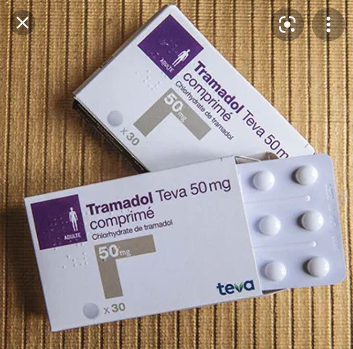 WhatsApp Image 2026 03 20 at 9.53.32 AM