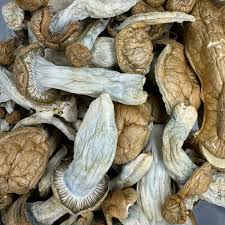 store_01JCBBZHTJW304D5JZ8Y01YCB7_assets_1731543277134 images5