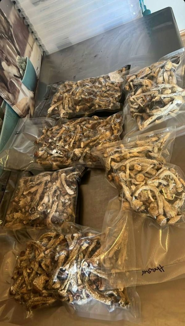 store_01JCBBZHTJW304D5JZ8Y01YCB7_assets_1731767526425 WhatsAppImage2024 09 30at14.19.18_38b23e27 600x1053 1