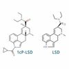 store_01JCBBZHTJW304D5JZ8Y01YCB7_assets_1732706213088 lsd vs 1cp lsd 380_100x100